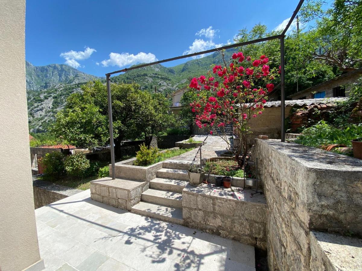 Apartments Mezini 11 Kotor Exterior photo