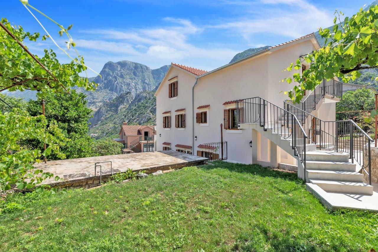 Apartments Mezini 11 Kotor Exterior photo